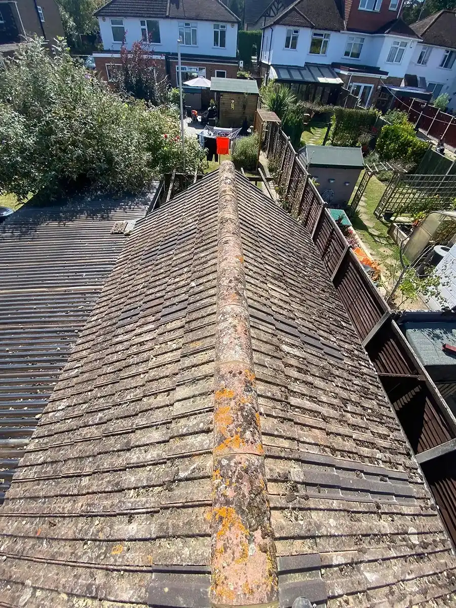 View looking down a weathered, moss-covered roof ridge with backyard gardens and houses visible beyond the fenced yards.